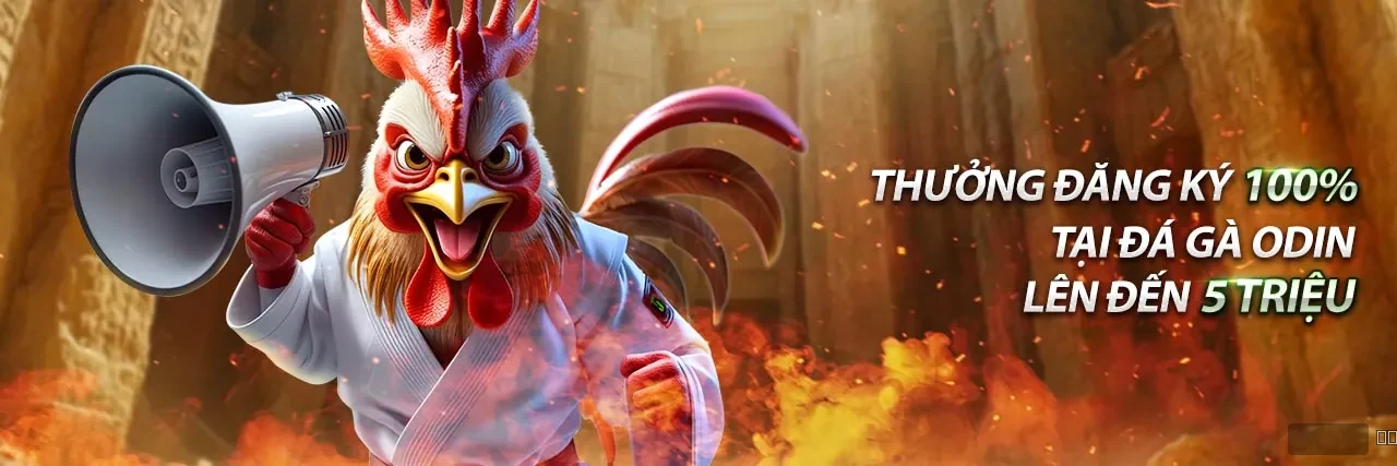 Trải nghiệm game bài trực tuyến 789c với tiến lên, phỏm, mậu binh