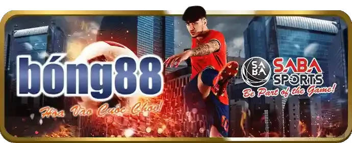 Biểu đồ theo dõi nhịp cầu và tần suất số trong soi cầu lô đề 789c